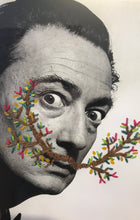Cargar imagen en el visor de la galería, Dalí
